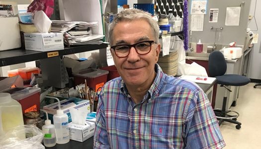 Manel Jordana, professor of medicine sits at a desk.