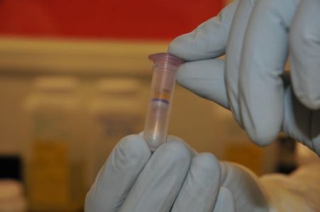 Two hands in blue medical gloves holding a small, clear vial containing an amber liquid 