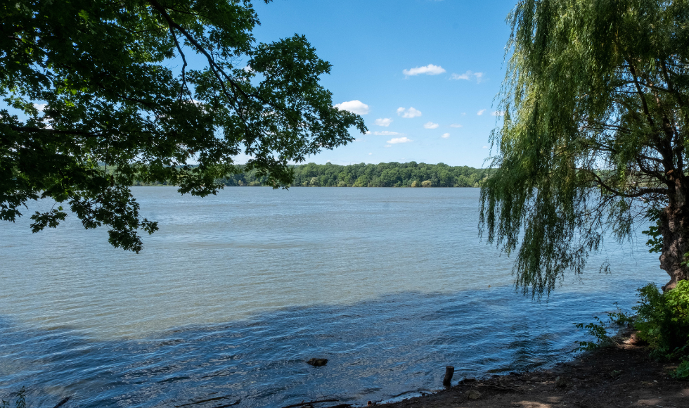 A photo of Cootes Paradise.