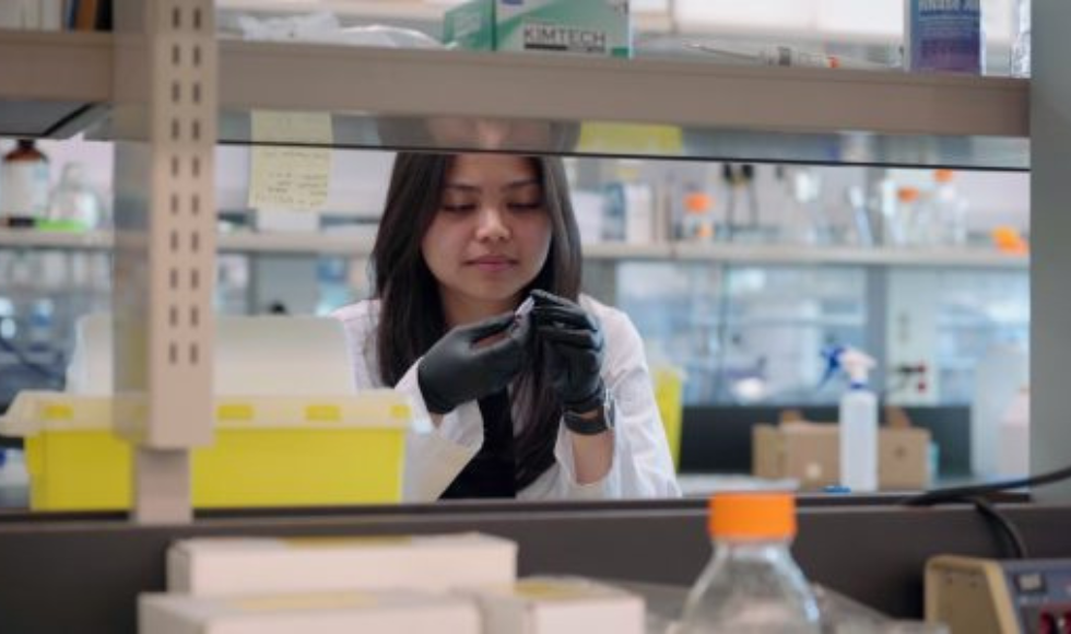 Denise Catucutan, a student in Jon Stokes' lab, handles a vial. 