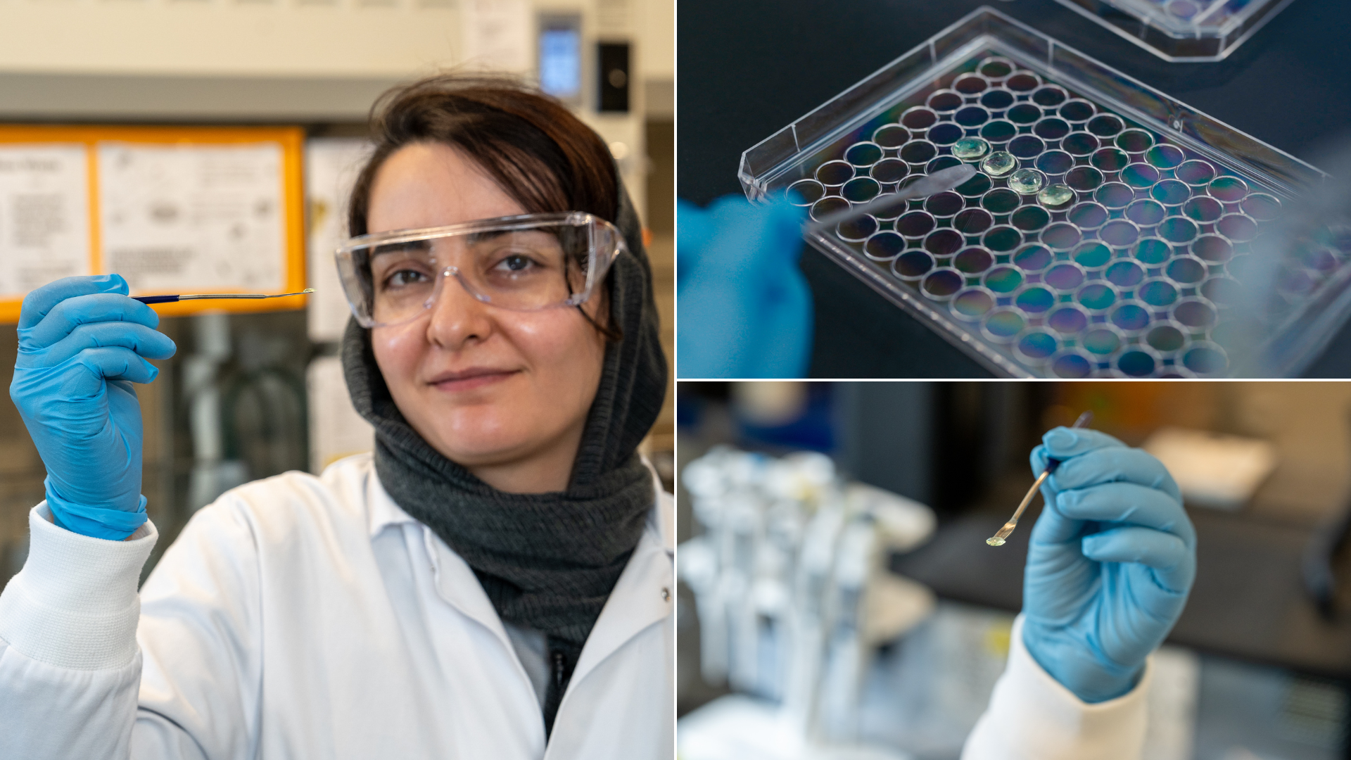 Three photos in a grid. One shows Fereshteh Bayat holding a scalpel with a pill-like form on it. The other shows a tighter shot of the pill-like form on the scalpel. The last shows the pill-like form in a Petri dish. 