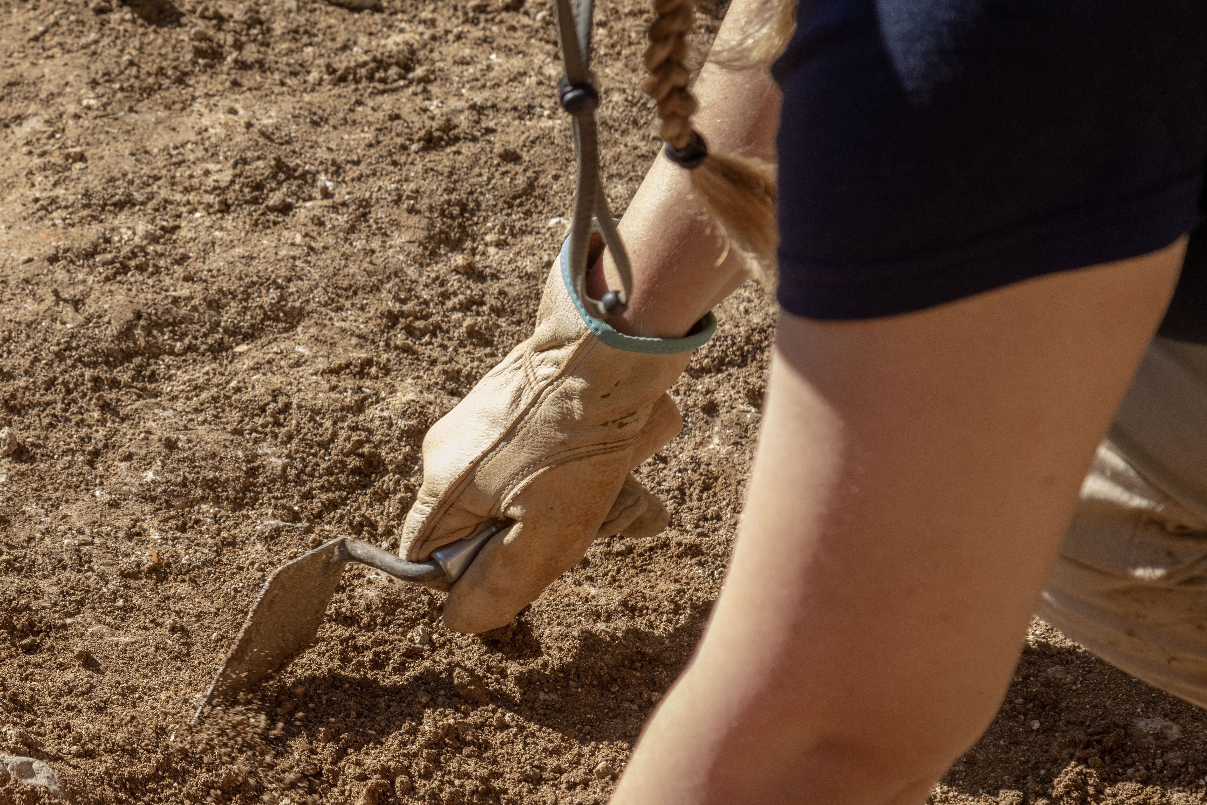 A close shot of a gloved hand about to dig into the dirt with a trowel-type tool. 