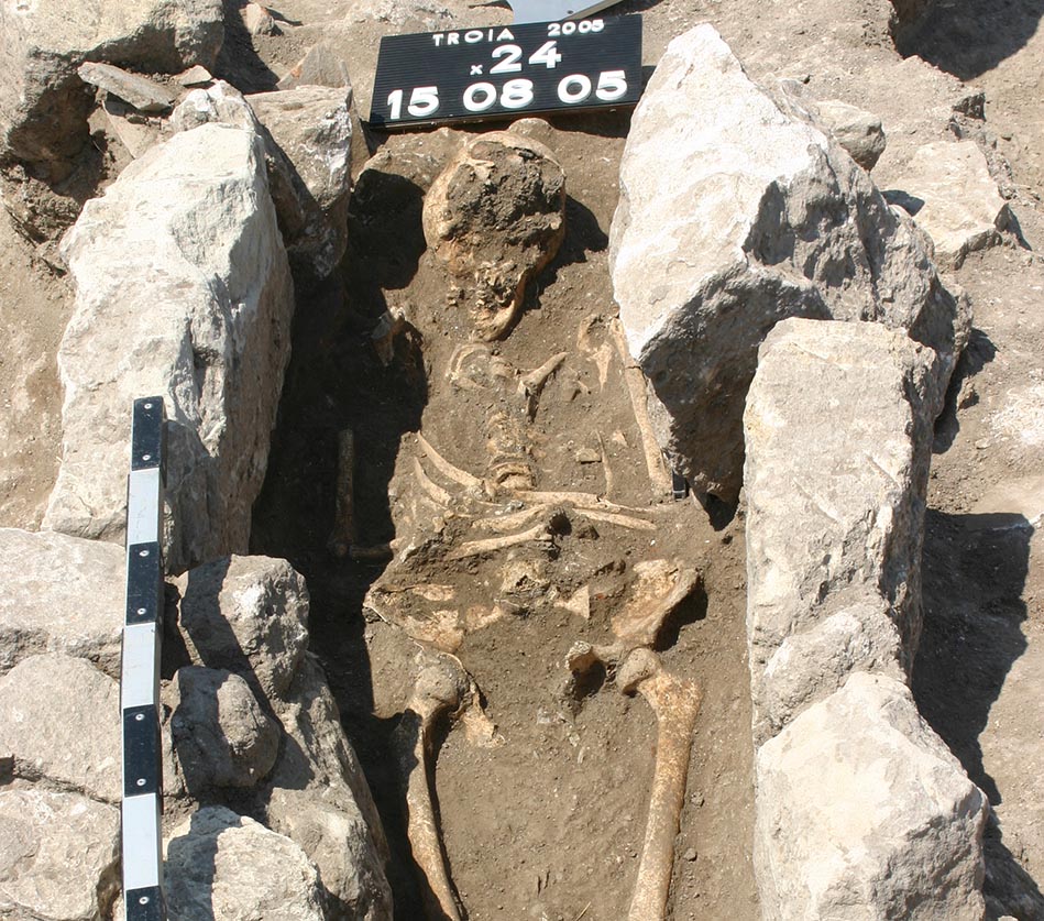 skeleton-1