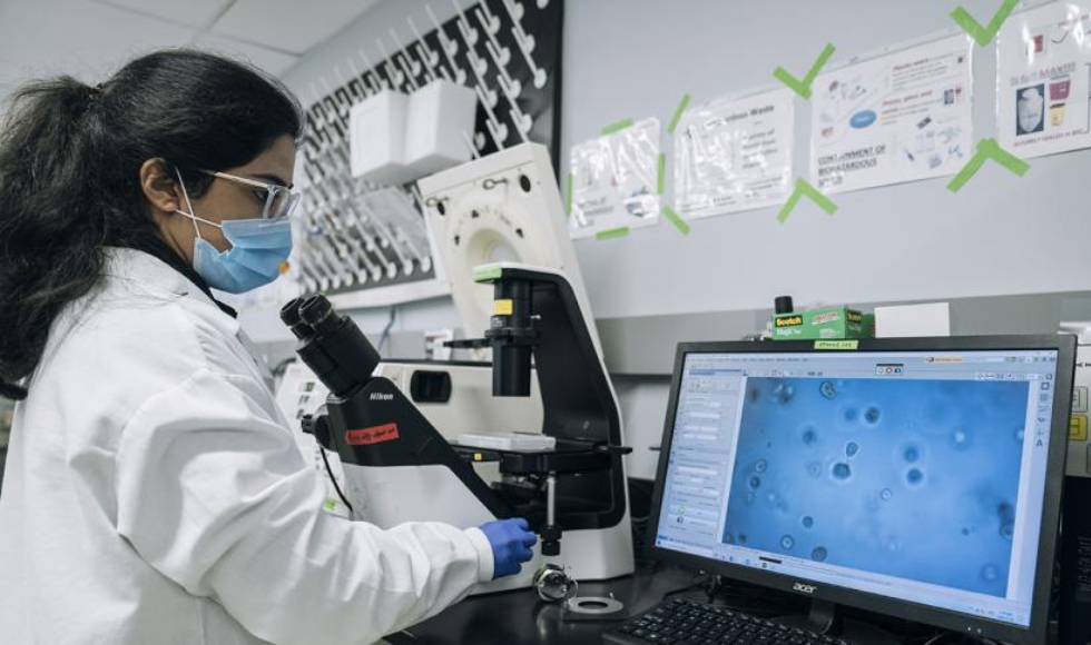 A woman looks into a microscope