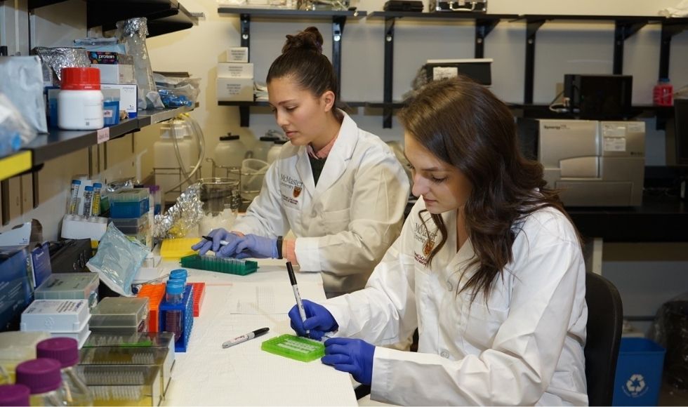 Two people wearing lab coats and gloves working at a lab counter.