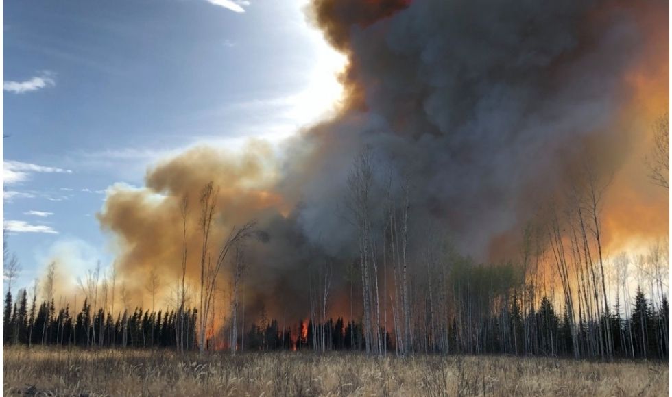 Huge plumes of grey smoke rising out of a fire in a wooded area