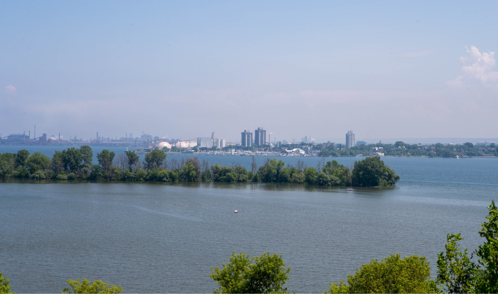 Hamilton's cityscape, seen from across the harbour.