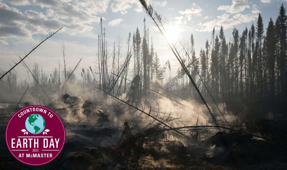 Smoke rising from a bog in the daylight