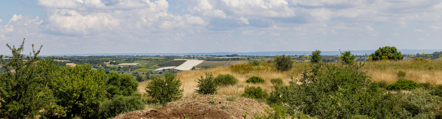 A view of the fields surrounding the Metaponto archaeological dig site.