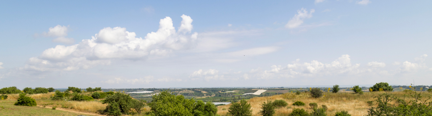 A view of the fields surrounding Metaponto Archaeological site on a bright, sunny day.