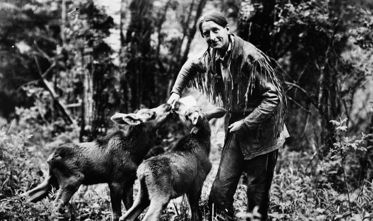 Black and white archival image of Grey Owl bottle feeding very young moose calves.