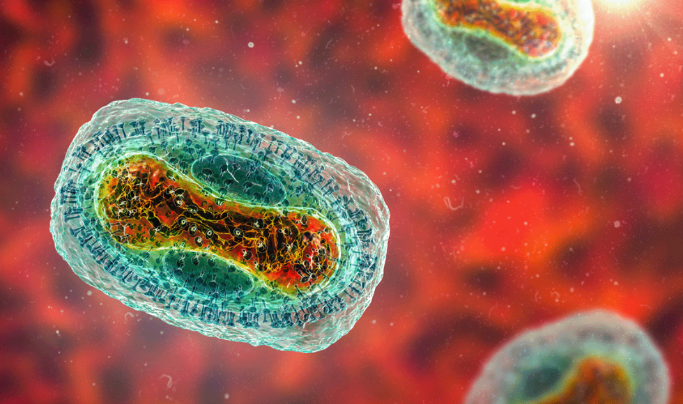 A graphic representation of the mpox virus.