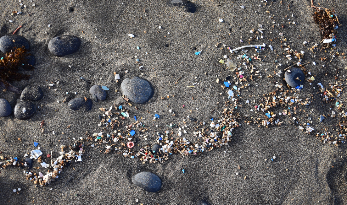 Tiny pieces of plastic washed up on a beech