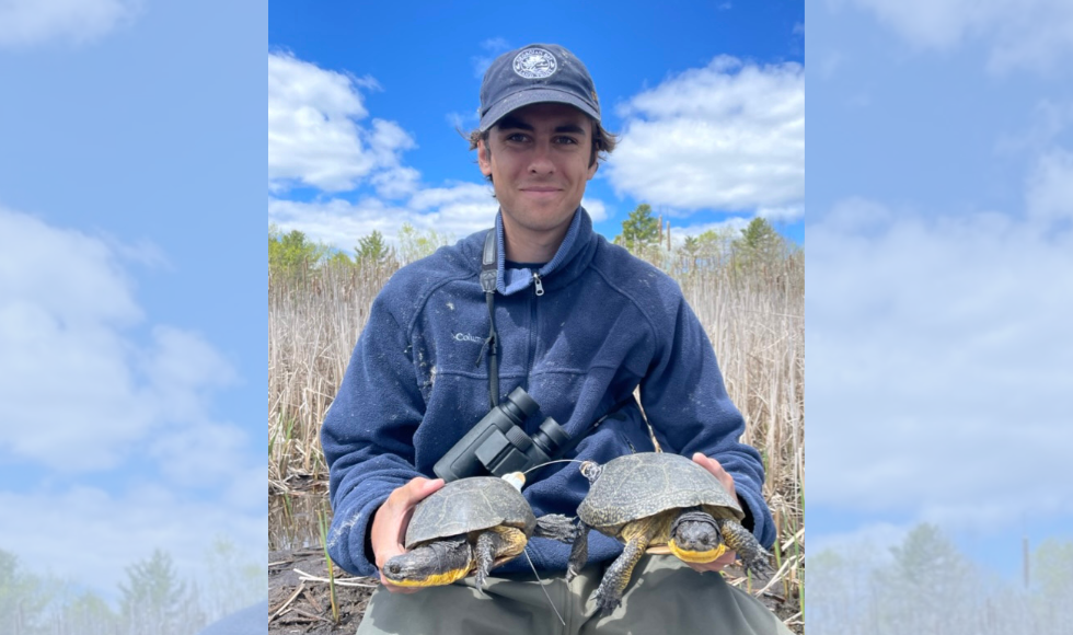 A man sitting outdoors, with a wetland visible behind him, holds two Blanding's turtles.