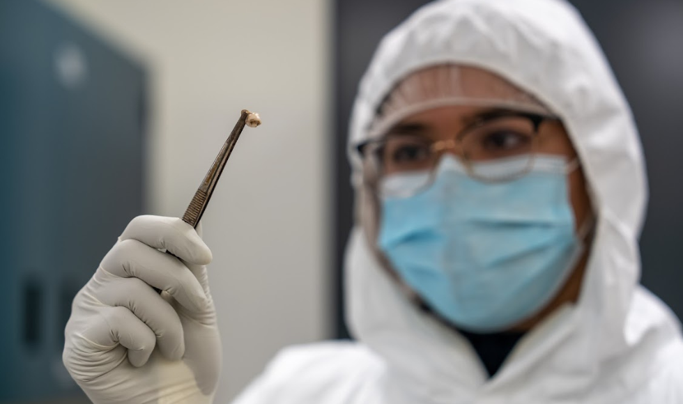 A person in a lab hood, mask, and gloves holds up a tooth with tweezers.